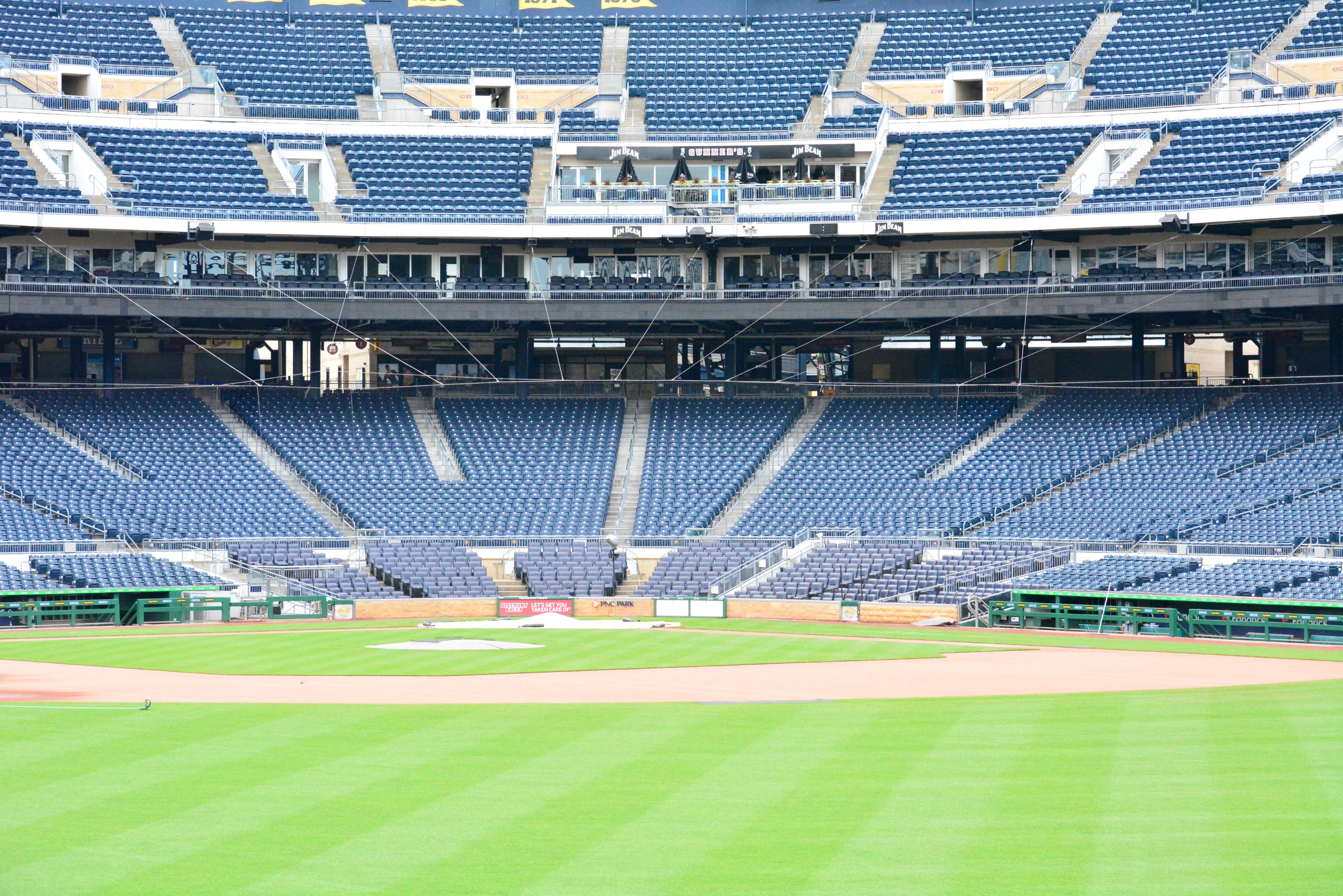 A vibrant stadium filled with fans